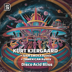 PREMIERE: Kurt Kjergaard ─ Disco Acid Bliss (Original Club Mix) [Burning Synths]