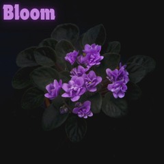 Bloom