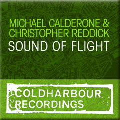 Sound Of Flight (Original Mix)
