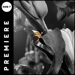 PREMIERE : Malov, Vicius (BR) - Melody Rises [Astral Records]