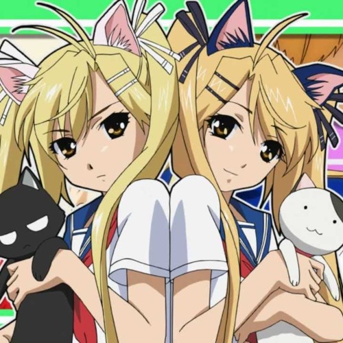 Nyankoi!: Where to Watch and Stream Online