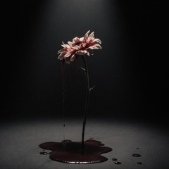 Half Lit Halos [Feat. Fukkit]