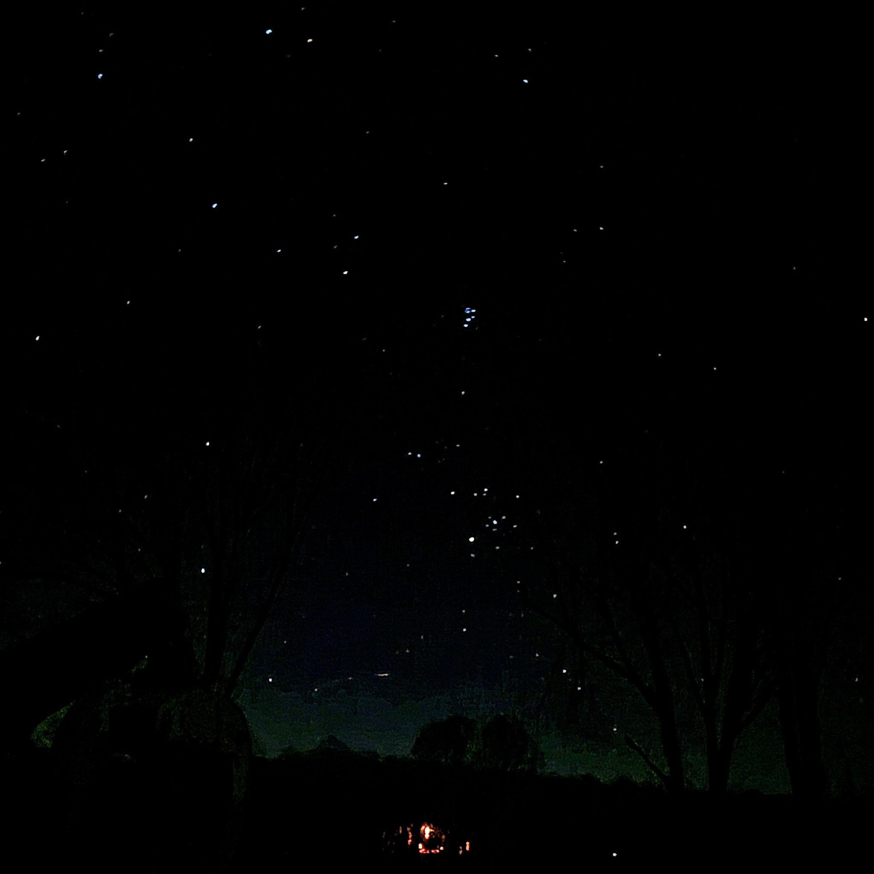 stars in my driveway
