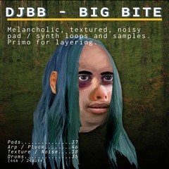 DJBB Big Bite Demo Song