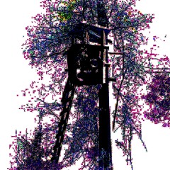 Deerstand-Tallgrassforthefireflies