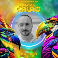 Live at Revival Calao - 2 hours Vinyl DJ Set "Terrace Warm Up" - 09092023