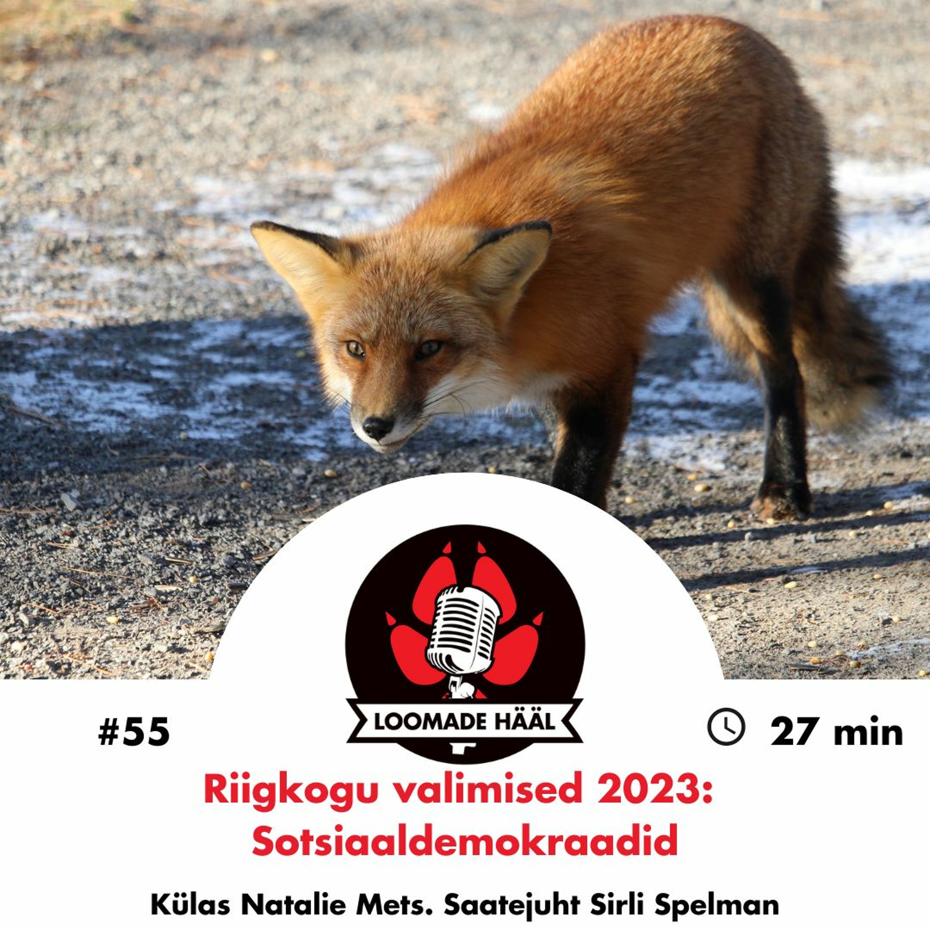 Loomade Hääl #55: Riigikogu valimised 2023 - Natalie Mets (Sotsiaaldemokraadid)