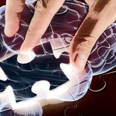 10,000 Piece Jigsaw Brain DEMO