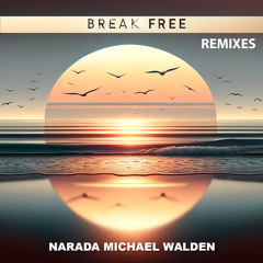 BREAK FREE (Soul Version)