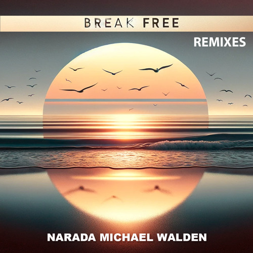 BREAK FREE (Soul Version)