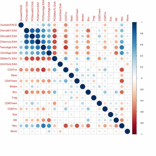 A Longitudinal Study on Dasatinib, Quercetin, and Fisetin Senolytic Interventions