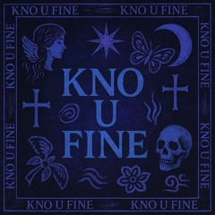 kno u fine (prod. faint)