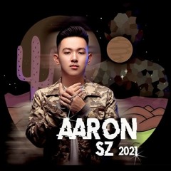ARS Remix - សង្សារខ្ញុំក្លាយជាសង្សារគេ x 容易受傷的女人 2021 (ft Mony Valentine & Mizter Ro & SEan Boss )