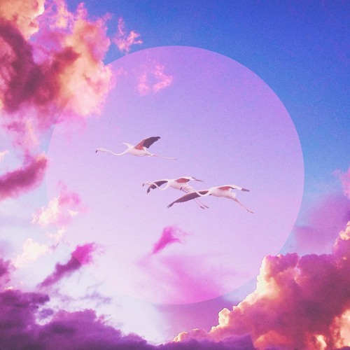 Beautiful Things Have Wings