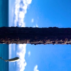 前田/天国にいけるような