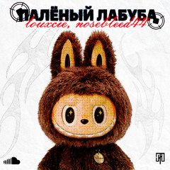 паленый лабуба (prod. satuko, centrlx)