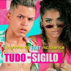 Tudo No Sigilo - Vytinho NG & Mc Bianca (Brega Fun