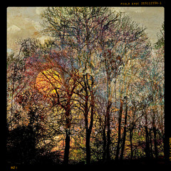 Reethaus Flussbad Berlin 15. Twilight Hour