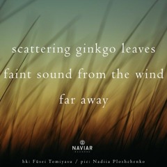 Sound from the Wind [NaviarHaiku423]