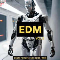 EDM Phenomena Vol.3 Preview