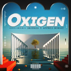 Oxygen - Dj Andres Roman X Skiibass (Original Mix) Free Download