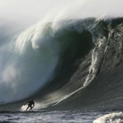 SHAMROCK SHEBANG Ian Parker