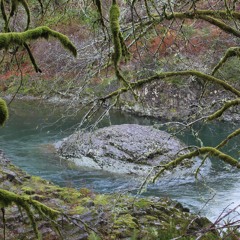 BE LIKE WATER (A Water Meditation for Stress-Relief)