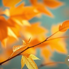 gentle october