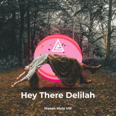 Hey There Delilah (House Remix)