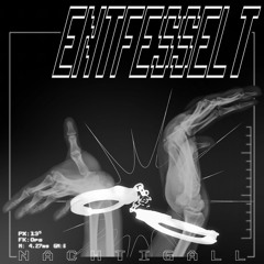 ECHO Rec. Premiere | NACHTIGALL - ENTFESSELT