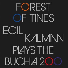 Egil Kalman - Glint (from iDEAL237 LP)