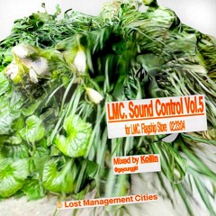 LMC Sound Control Vol.5 mixed by KOLLIN