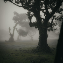 Elsewhere Beneath