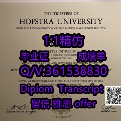 1:1精仿美国［Hofstra霍夫斯特拉大学毕业证Q/V:361538830 Diploma  办［霍夫斯特拉大学成绩单