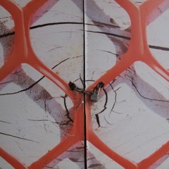 Kiss Kiss Smack Smooch Kiss