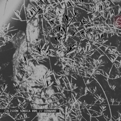COLISION SONICA 006 - DINWARD