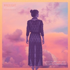 Wildlight feat. Ayla Nereo & The Polish Ambassador - Save My Mind For Later (Sri Gurvastakam Redux)