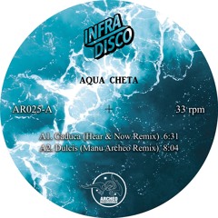 A1 - Caduca (Hear & Now Remix)