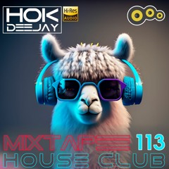 Mixtape #113 DH2023 HOUSE CLUB
