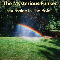 The Mysterious Funker - Sunshine In The Rain