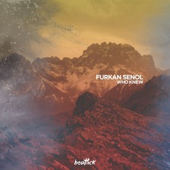 Furkan Senol - Who Knew (Original Mix)