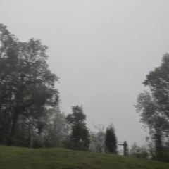 雨
