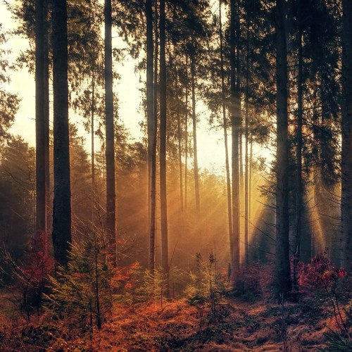 Damien Unbroken- October '24 Mix