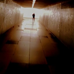 White dog highway surfer