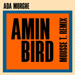 Amin Bird (Mousse T. Extended Remix)