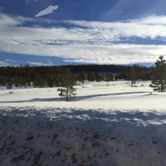 Big Empty (Stone Temple Pilots)