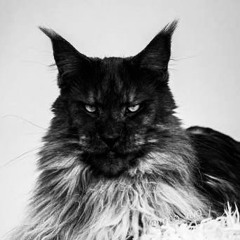 Mogger