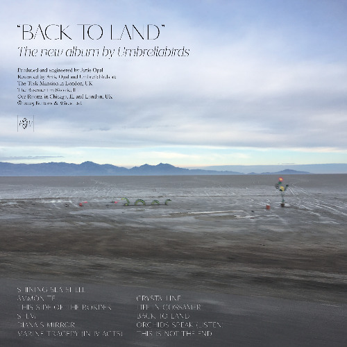 Orchids Speak (Listen)