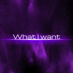 What I Want(original mix)