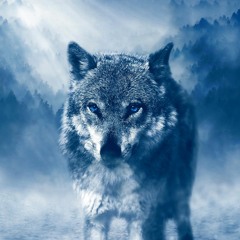 Wolves (feat. Danny Bourgeois & Chris Church)